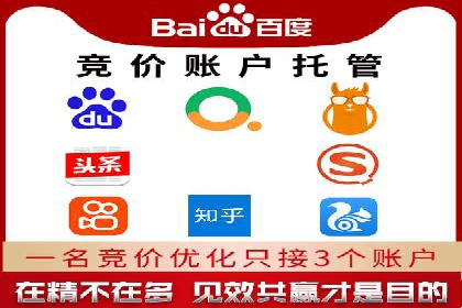 某品牌SEM广告投放的ROI提升案例